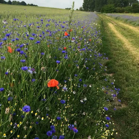 Ostseeferienwohnung Storchennest *